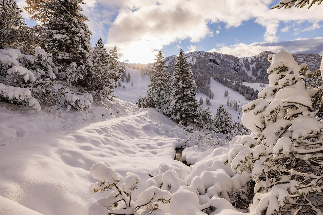 Der erste Schnee in Malbun und Steg