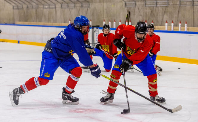 Training ice hockey team