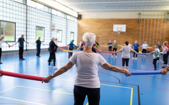 PRO SENECTUTE, PRO SENECTUTE KANTON LUZERN, GEMEINNUETZIGE STIFTUNG, STIFTUNG, 50+, SENIOR, SENIORENKURS, FIT GYM, FITGYM, TURNEN, TURNGRUPPE, SPORT, ALLROUND, KURS, KURSE, BEWEGUNGSKURS, BEWEGUNG, BEWEGUNG IM ALTER, BEWEGLICHKEIT, SPORTKURS, ERWACHSENENSP