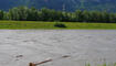 Hochwasser Rhein