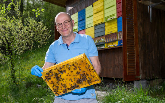 Interview Imker Gerhard Marock zur asiatischen Hornisse, in Maur