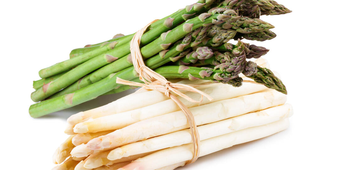 Bundle of Asparagus Isolated on White
