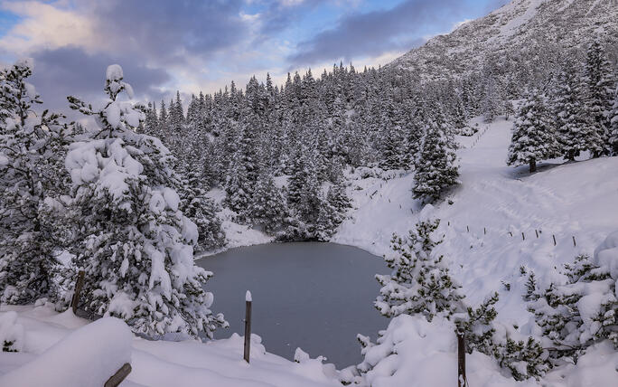 Der erste Schnee in Malbun und Steg