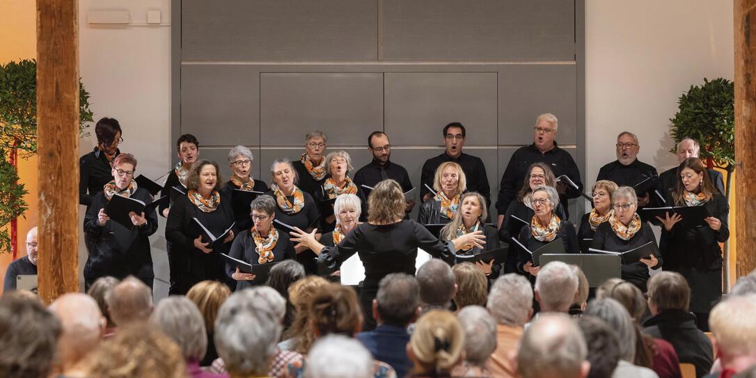 Varicanto Chor, Vaduz