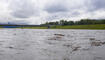 Hochwasser Rhein in Vaduz