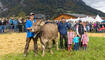 Melser Herbstviehschau (11.10.2024)