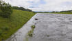 Hochwasser Rhein in Vaduz