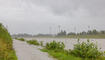 Hochwasser am Rhein