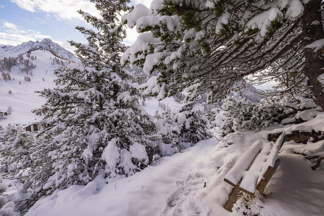 Der erste Schnee in Malbun und Steg