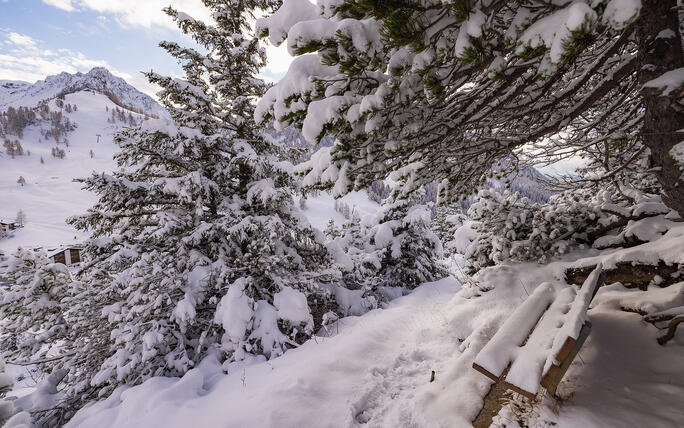 Der erste Schnee in Malbun und Steg