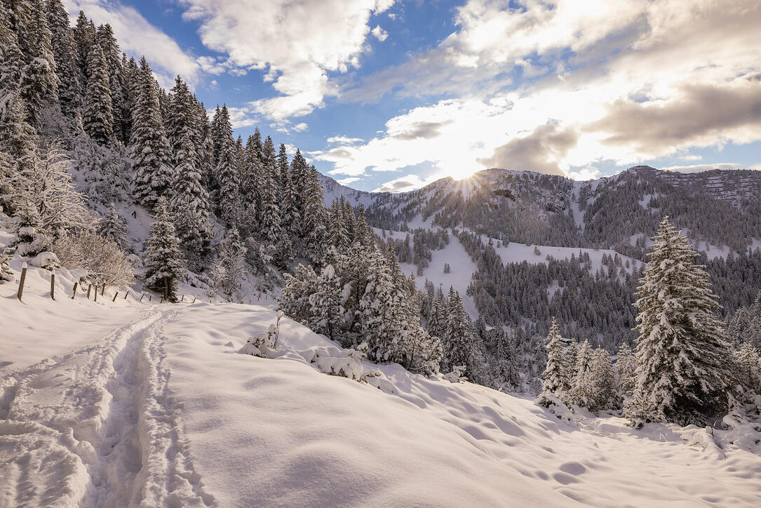 Der erste Schnee in Malbun und Steg