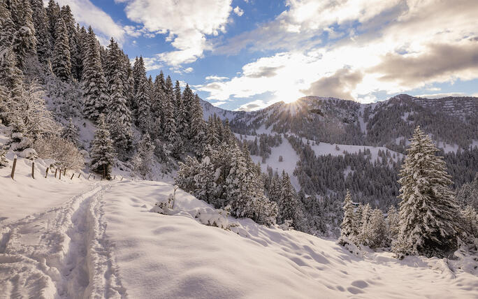 Der erste Schnee in Malbun und Steg