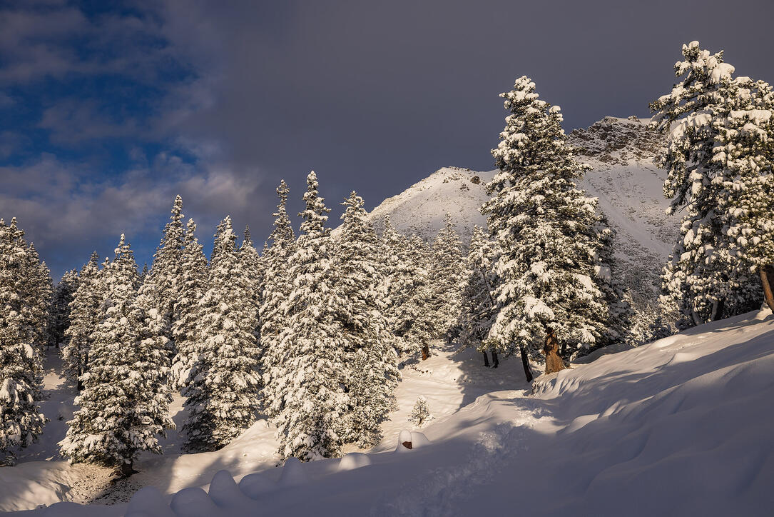 Der erste Schnee in Malbun und Steg