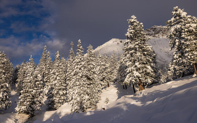 Der erste Schnee in Malbun und Steg