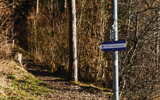 Wald in Triesenberg