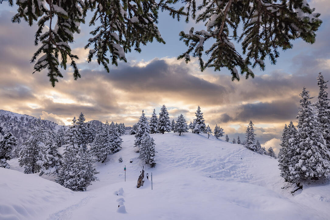 Der erste Schnee in Malbun und Steg