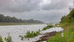 Hochwasser am Rhein