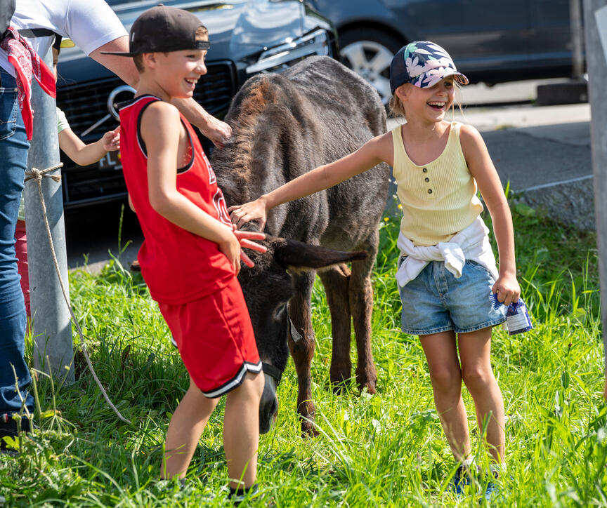 Eselfest, in Malbun