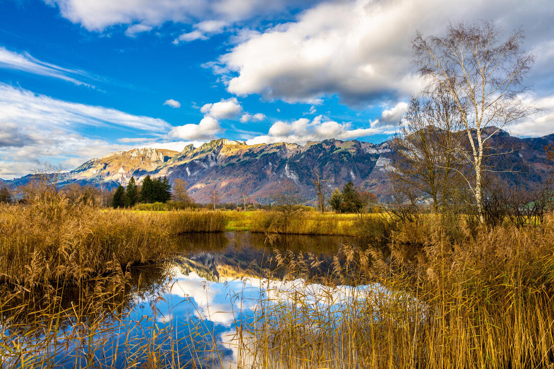 #näherdran-Fotowettbewerb Ruggell