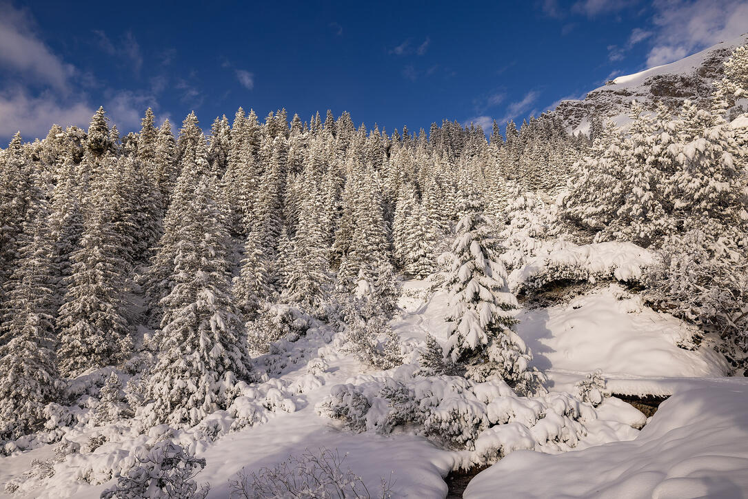 Der erste Schnee in Malbun und Steg