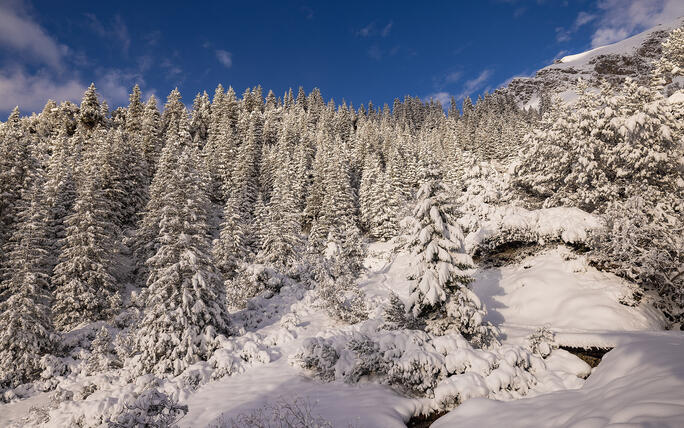 Der erste Schnee in Malbun und Steg