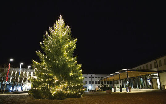 Weihnachtsbeleuchtung Eschner Dorfplatz