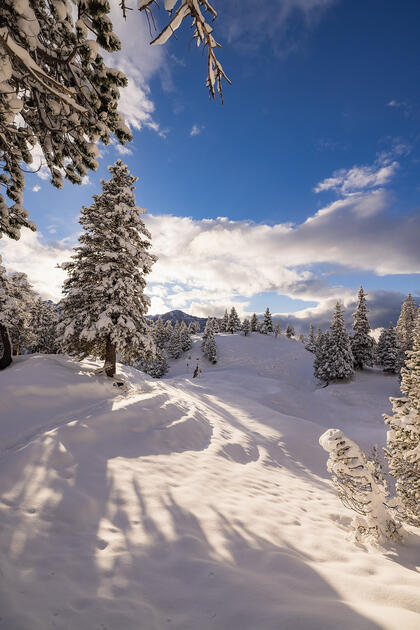 Der erste Schnee in Malbun und Steg