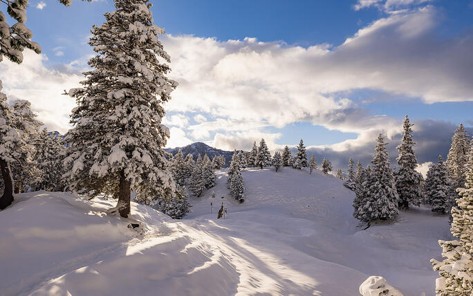 Der erste Schnee in Malbun und Steg