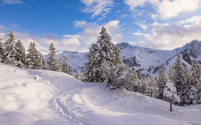 Der erste Schnee in Malbun und Steg