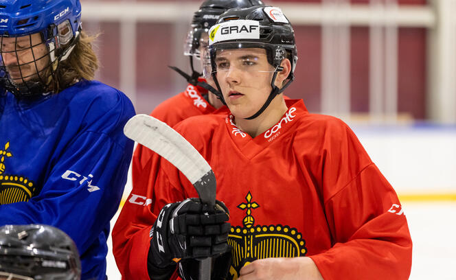 Training ice hockey team