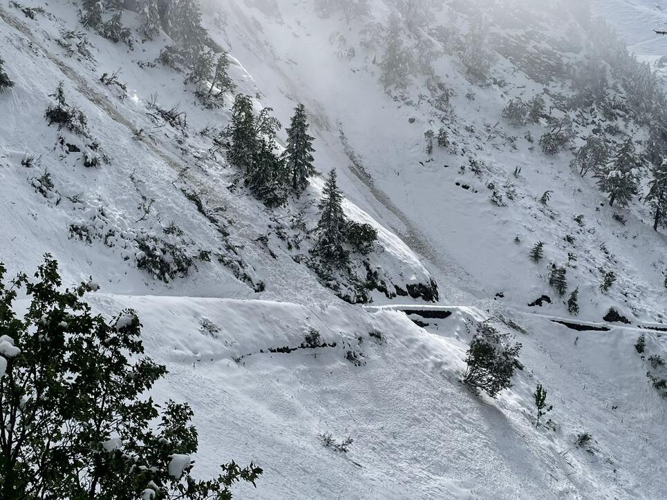 Alpabfahrt im Tiefschnee