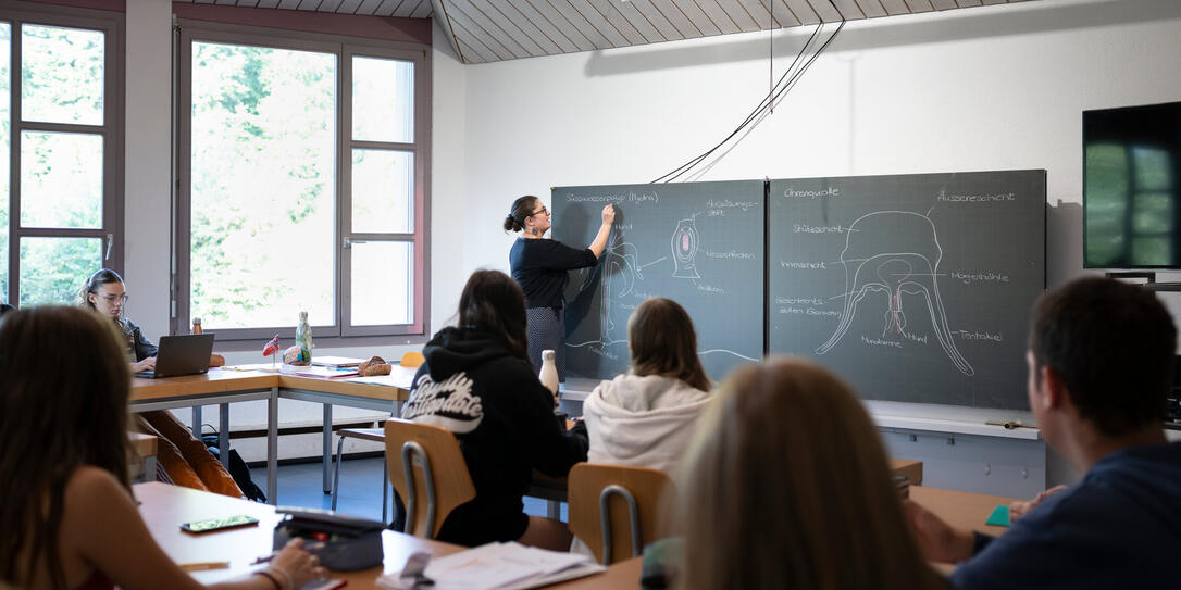 RUDOLF STEINER SCHULE, RUDOLF STEINER SCHULE ST. GALLEN, PRIVATSCHULE, ANTROSOPHIE, WALDORFPAEDAGOGIK, WALDORFSCHULE, BIOLOGIE, BIOLOGIEUNTERRICHT,   LEHRERIN,  KLASSENZIMMER,  WANDTAFEL,  SUESSWASSERPOLYP, POLYP, ZEICHNUNG,  OHRENQUALLE, QUALLE,  OBERSTUF