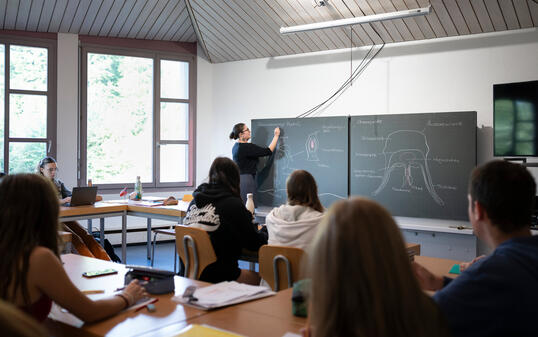 RUDOLF STEINER SCHULE, RUDOLF STEINER SCHULE ST. GALLEN, PRIVATSCHULE, ANTROSOPHIE, WALDORFPAEDAGOGIK, WALDORFSCHULE, BIOLOGIE, BIOLOGIEUNTERRICHT,   LEHRERIN,  KLASSENZIMMER,  WANDTAFEL,  SUESSWASSERPOLYP, POLYP, ZEICHNUNG,  OHRENQUALLE, QUALLE,  OBERSTUF