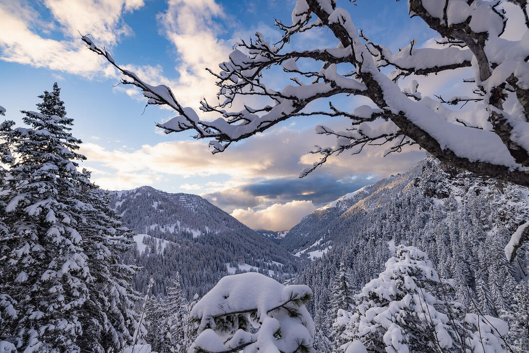 Der erste Schnee in Malbun und Steg