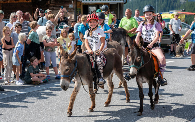 Eselfest, in Malbun