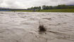 Hochwasser Rhein in Vaduz