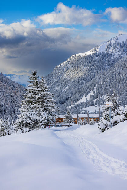 Der erste Schnee in Malbun und Steg