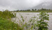 Hochwasser am Rhein