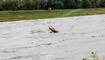 Hochwasser Rhein und Kanal