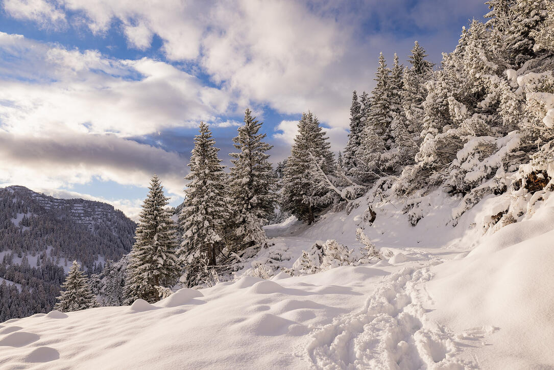 Der erste Schnee in Malbun und Steg