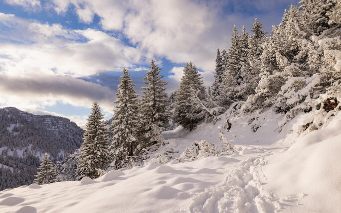 Der erste Schnee in Malbun und Steg