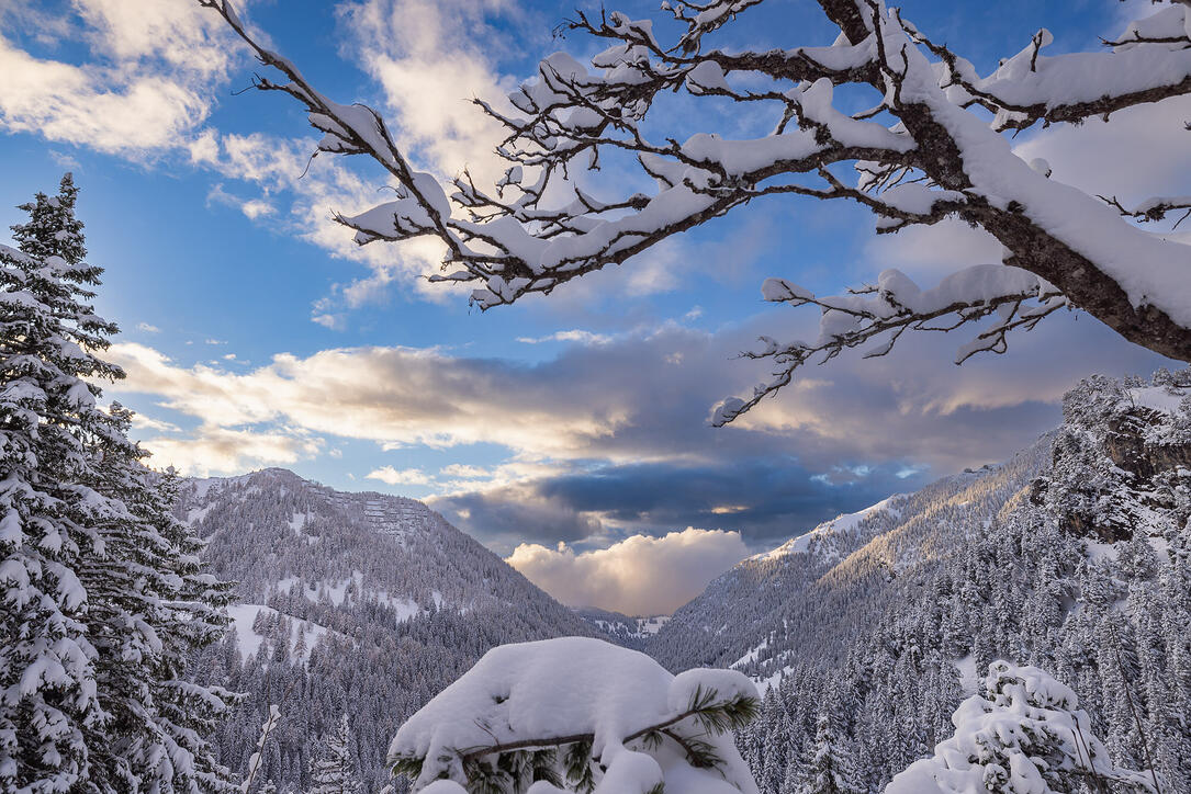 Der erste Schnee in Malbun und Steg