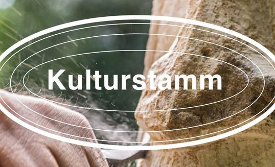 Kulturstamm 2024 Kachel - 4