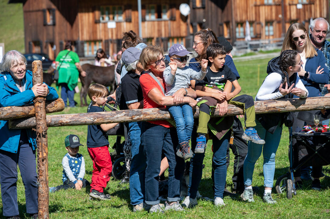 Prämienmarkt in Steg