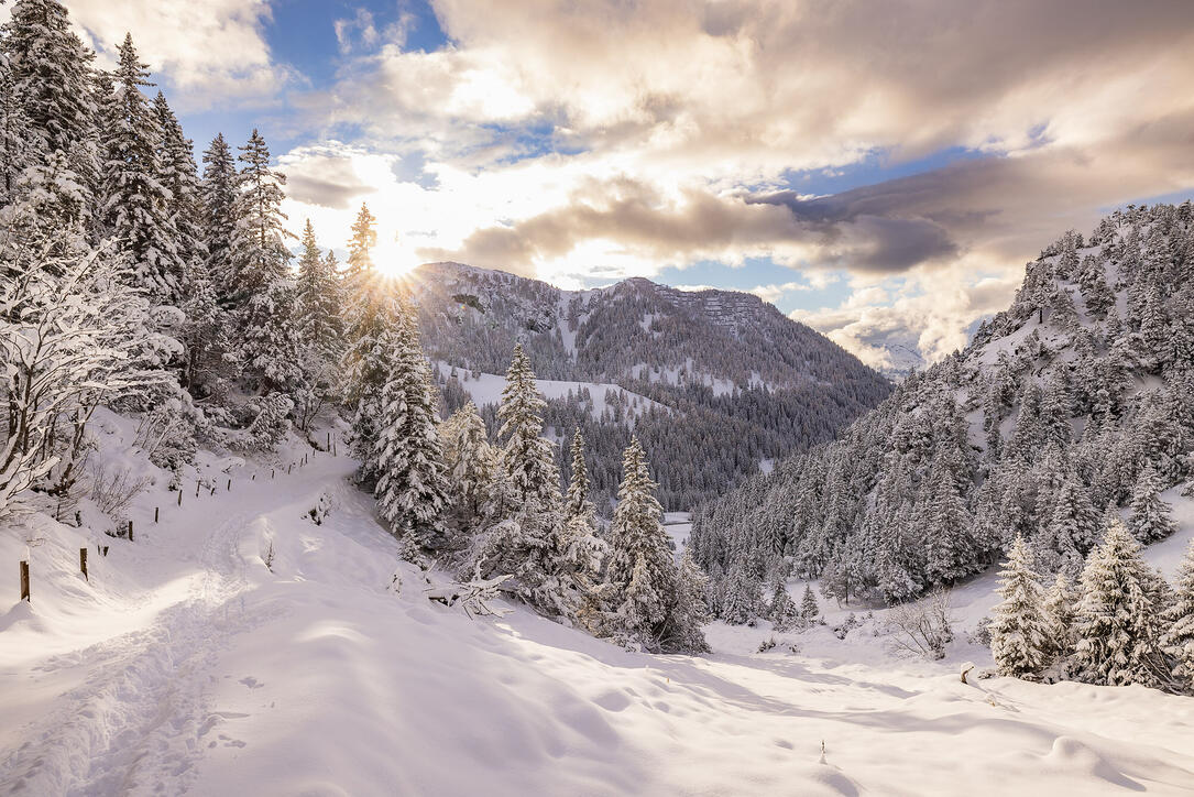 Der erste Schnee in Malbun und Steg