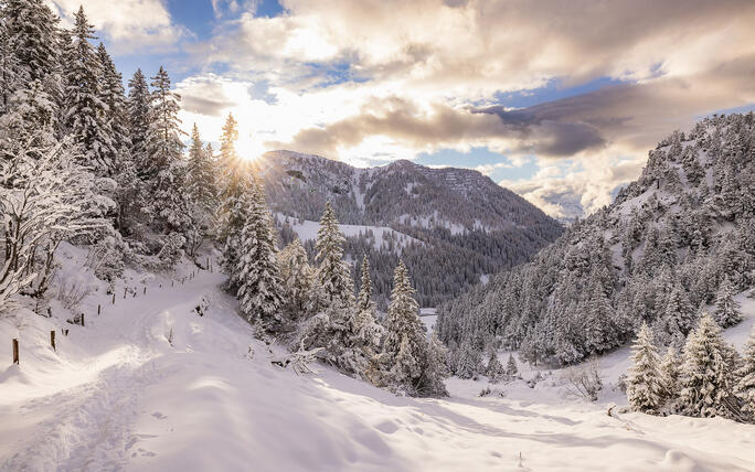 Der erste Schnee in Malbun und Steg