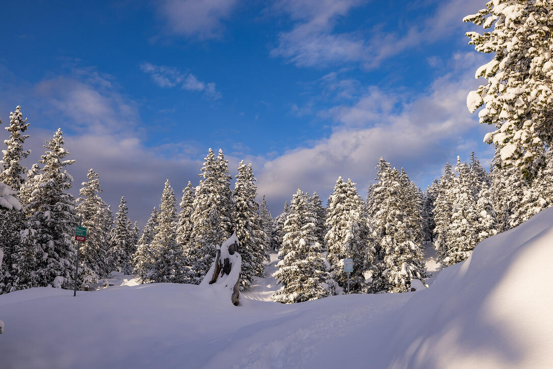 Der erste Schnee in Malbun und Steg