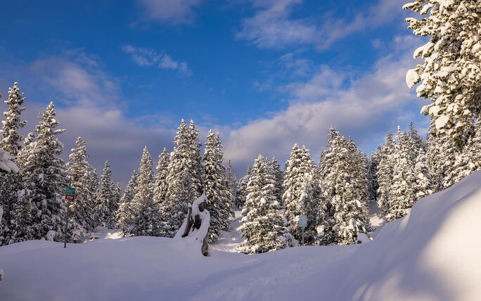 Der erste Schnee in Malbun und Steg