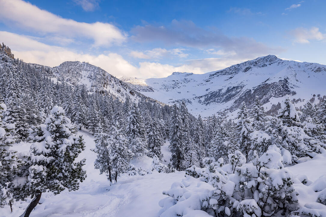 Der erste Schnee in Malbun und Steg