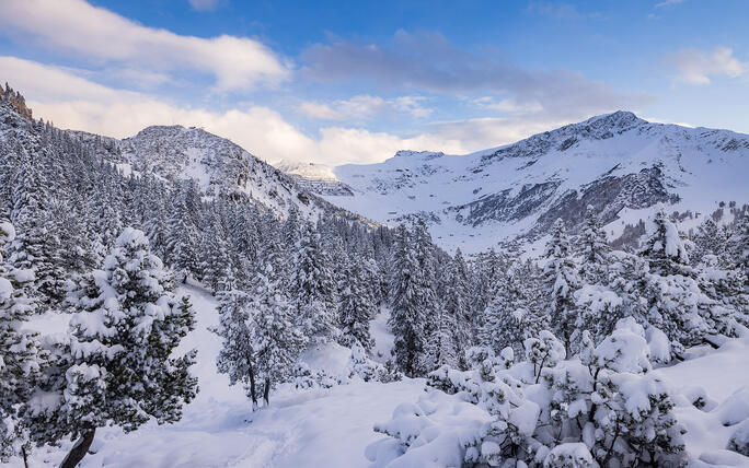 Der erste Schnee in Malbun und Steg